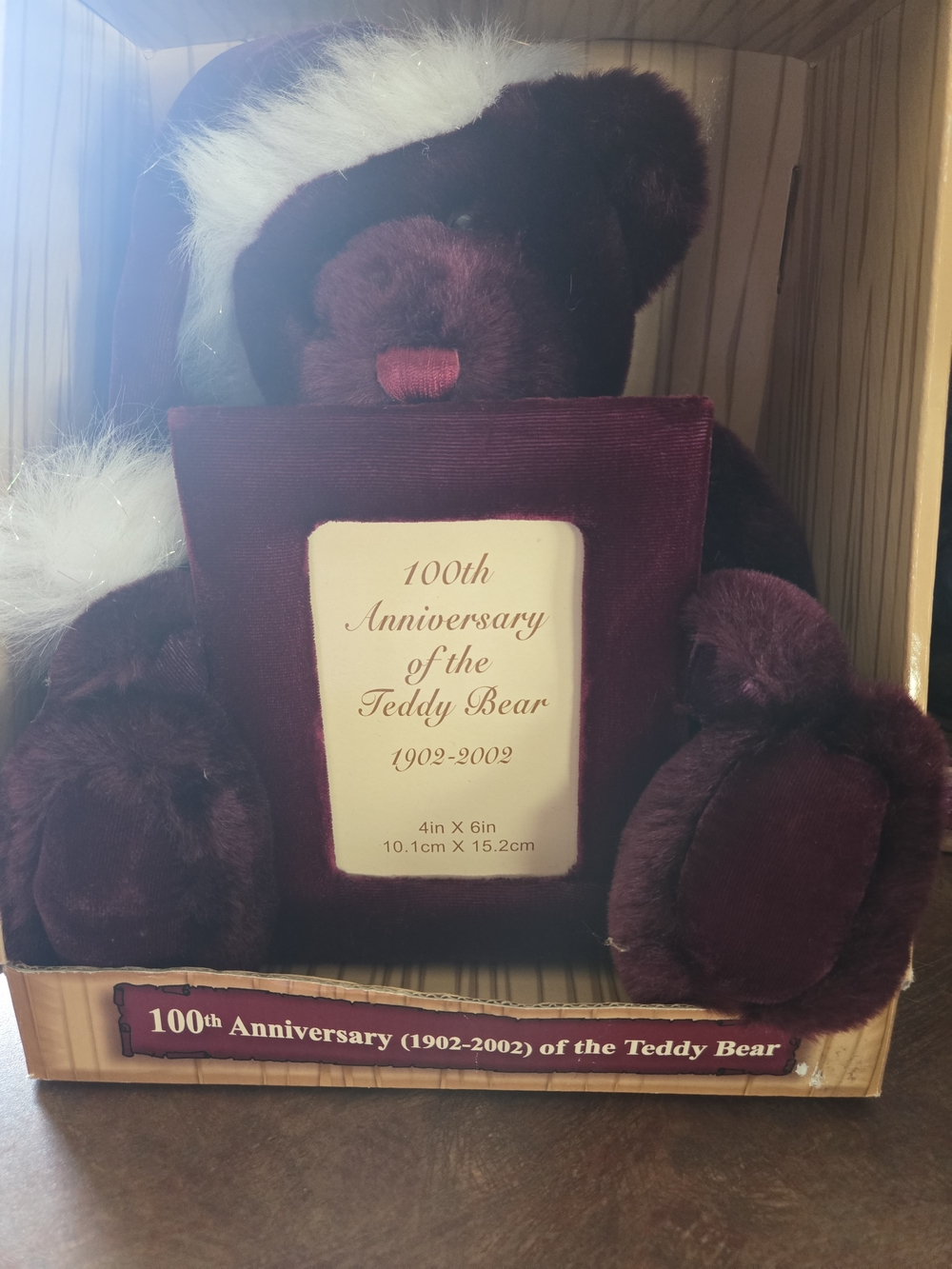 Walmart 100th Anniversary Vintage 2002 Teddy Bear with 4x6 Photo Frame-NIB